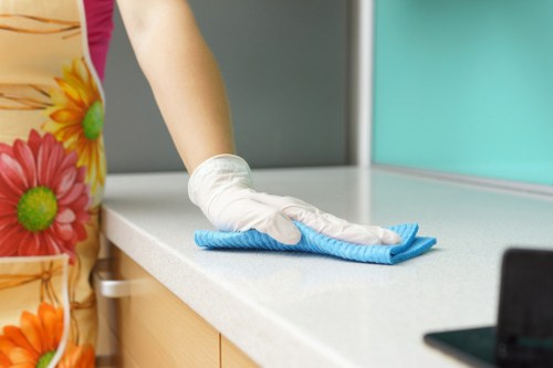 Reviewing a cleaning service concern with supporting details