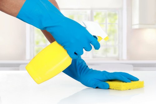 Professional end of tenancy cleaning for a Chelsea property kitchen