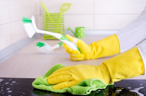 Local domestic cleaning for a townhouse in Chelsea with careful attention to detail