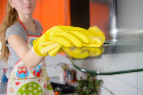 Deep cleaning an oven interior and racks in Chelsea