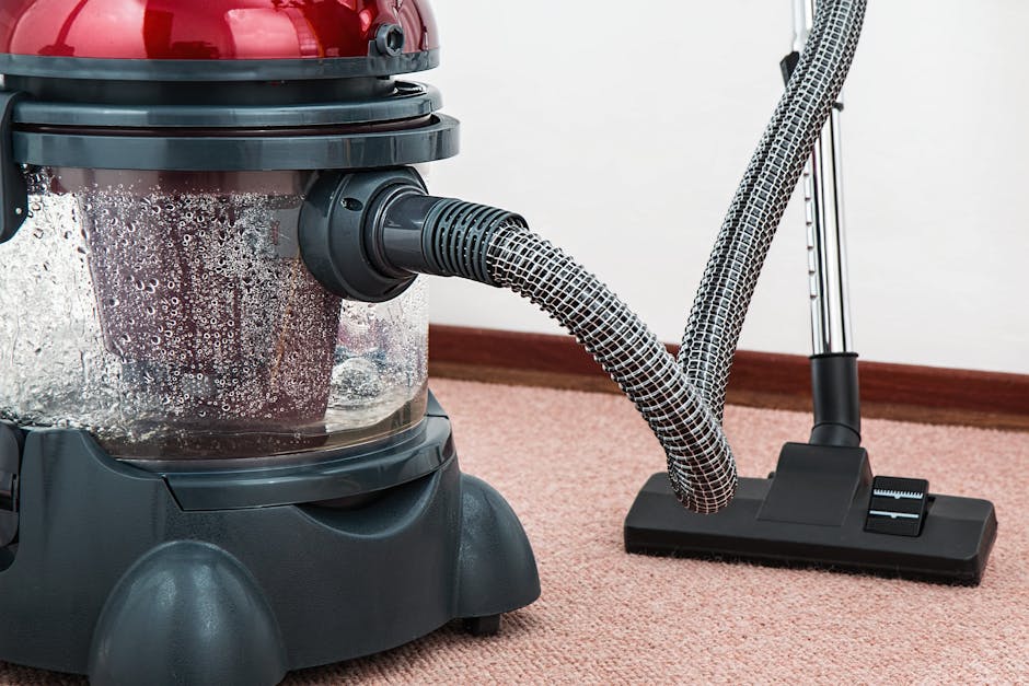 SW3 carpet cleaning services guide Chelsea